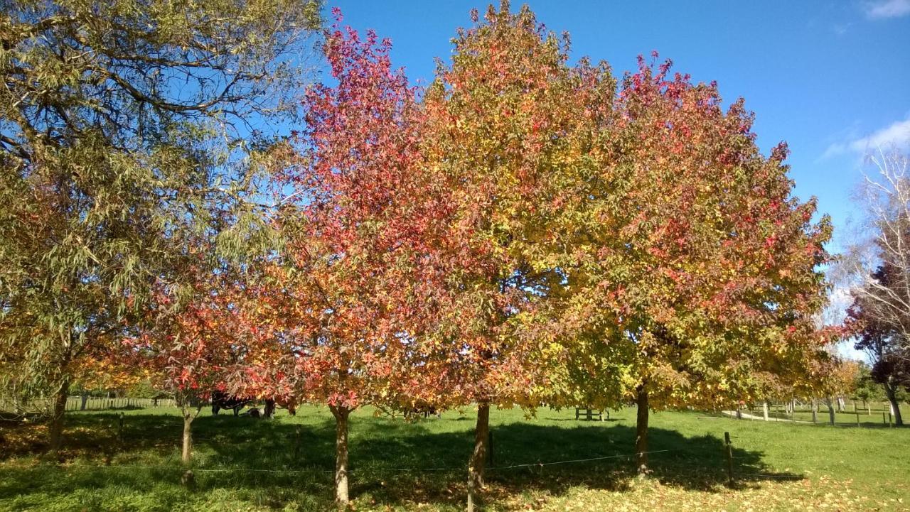 לינה וארוחת בוקר Tamahere Korbaylen Estate מראה חיצוני תמונה